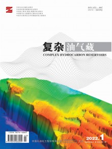 小型油气藏期刊